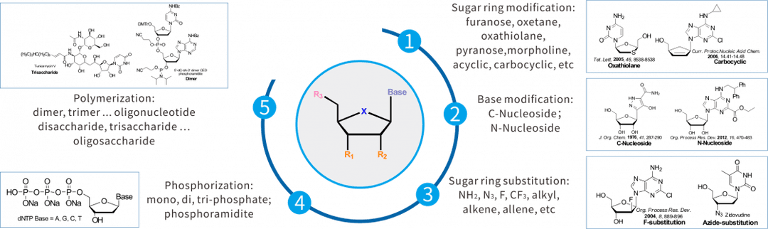 Nucleoside Chemistry