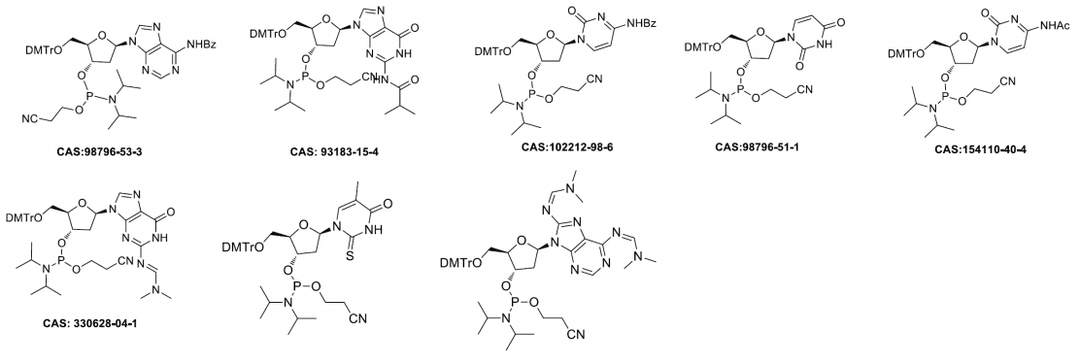 Modified Monomers
