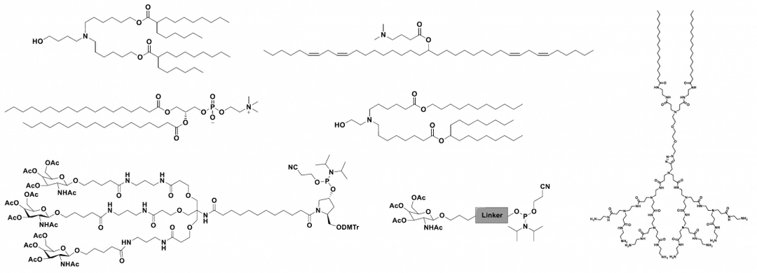 Delivery Vectors & GalNAc Lipids
