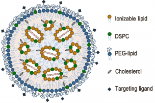 Lipid Nanoparticles (LNP)